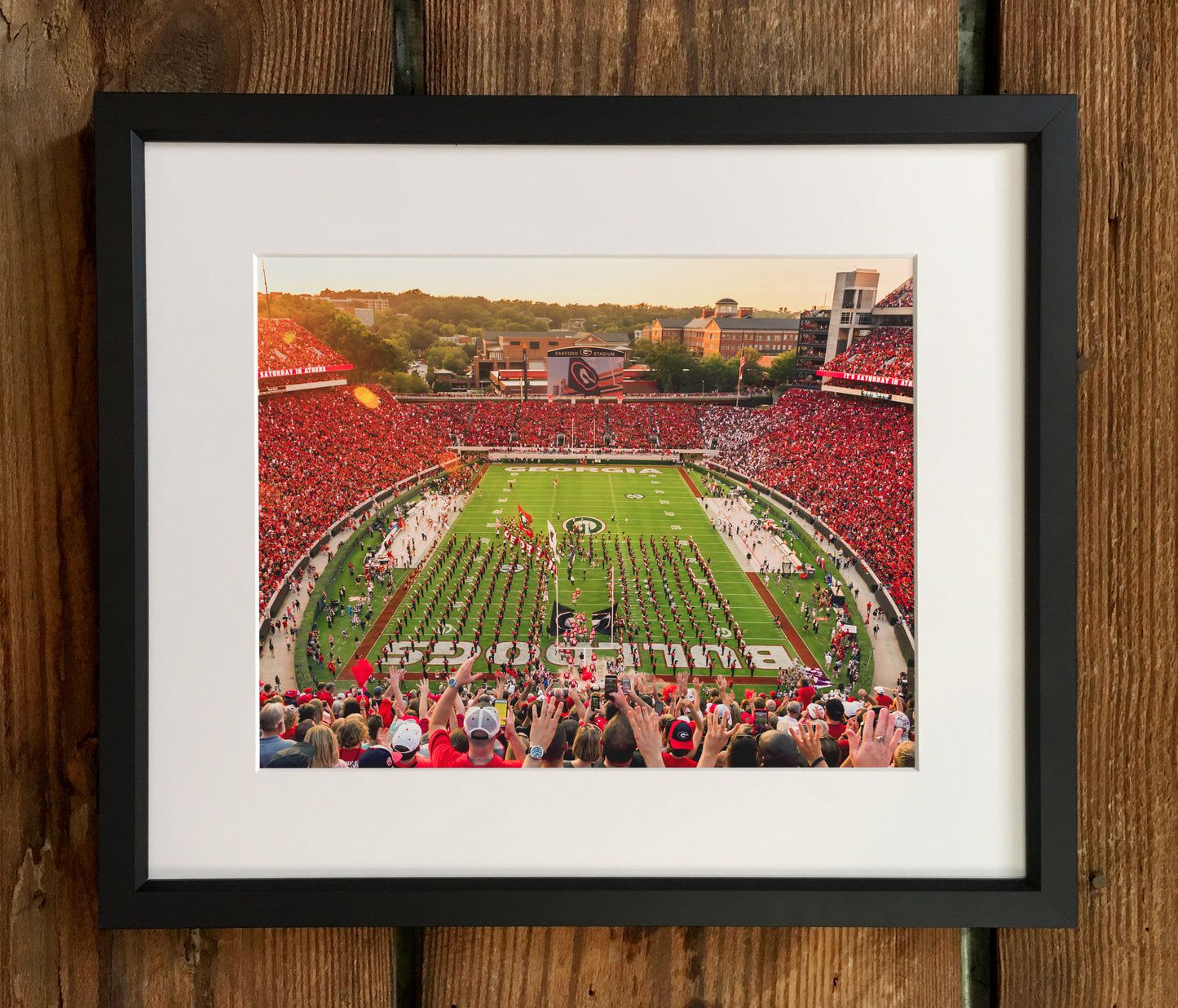 Saturday in Athens Sanford Stadium Photo Print & Canvas Wrap - Georgia Bulldogs Art