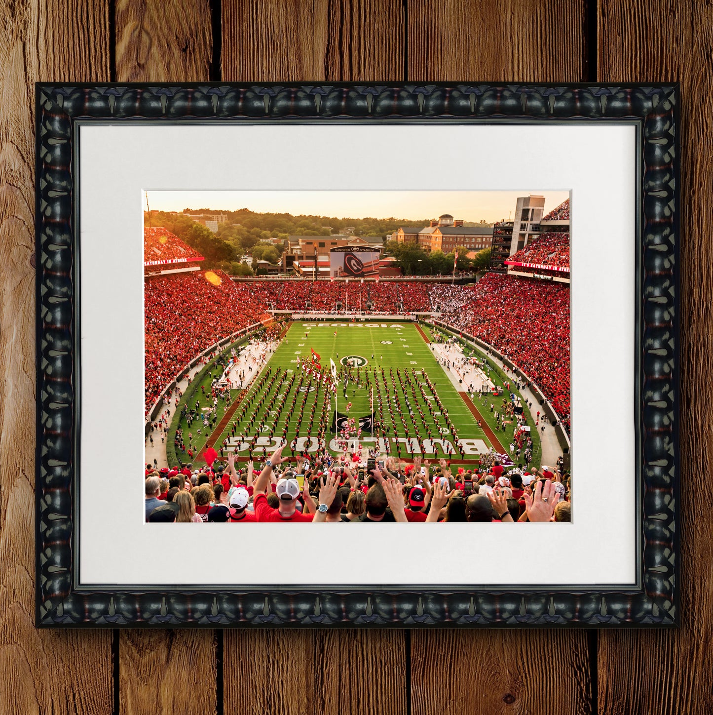 Saturday in Athens Sanford Stadium Photo Print & Canvas Wrap - Georgia Bulldogs Art