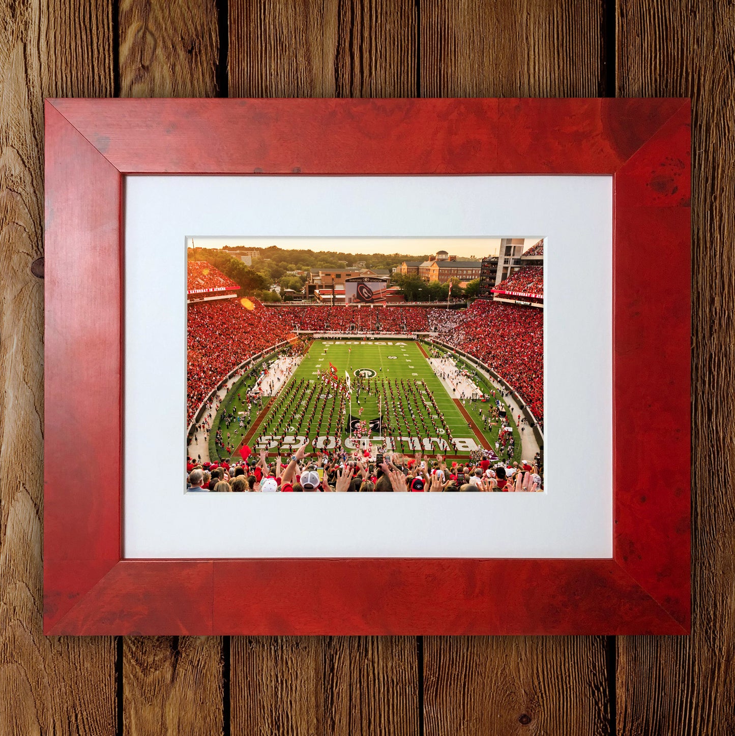 Saturday in Athens Sanford Stadium Photo Print & Canvas Wrap - Georgia Bulldogs Art