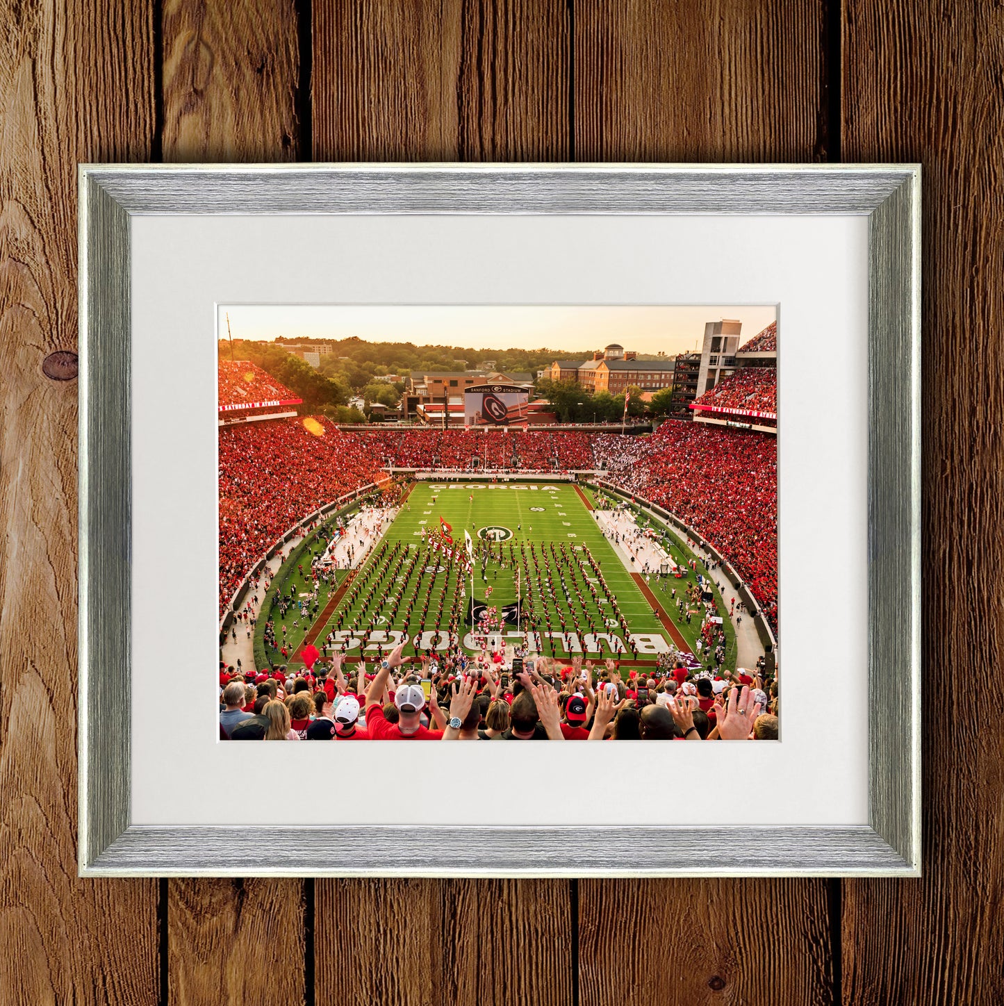 Saturday in Athens Sanford Stadium Photo Print & Canvas Wrap - Georgia Bulldogs Art