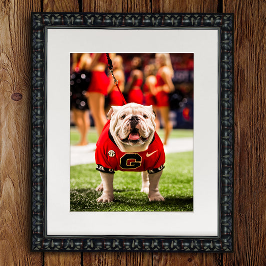 SEC Champion Uga X Photo Print & Canvas Wrap - Georgia Bulldogs Art