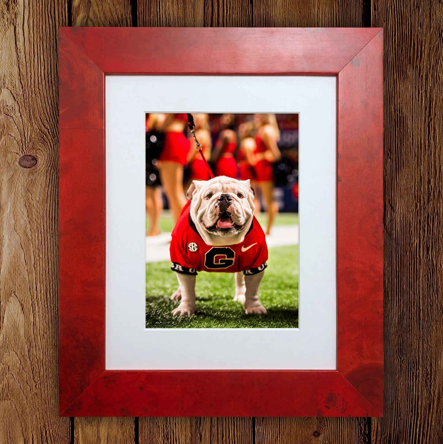SEC Champion Uga X Photo Print & Canvas Wrap - Georgia Bulldogs Art