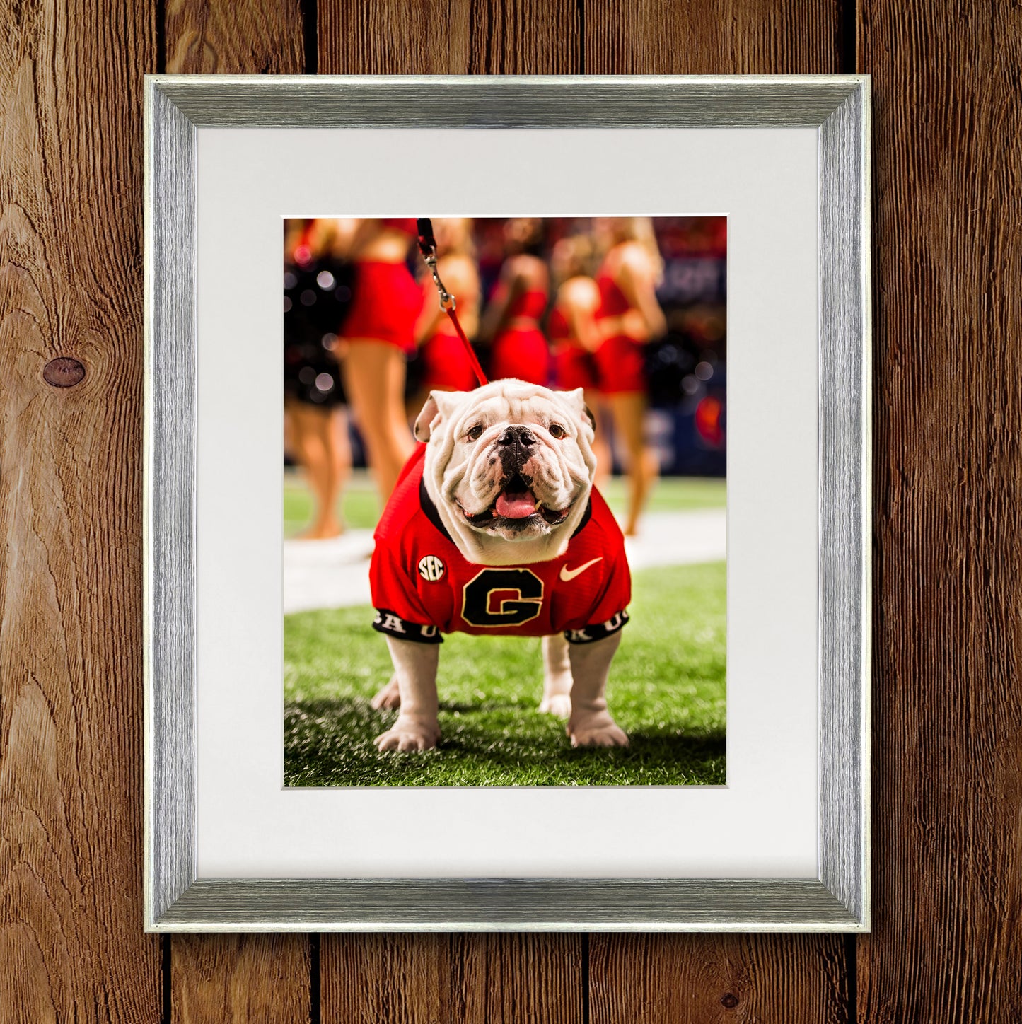 SEC Champion Uga X Photo Print & Canvas Wrap - Georgia Bulldogs Art