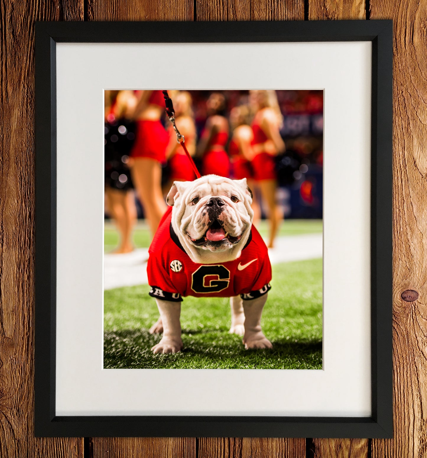 SEC Champion Uga X Photo Print & Canvas Wrap - Georgia Bulldogs Art