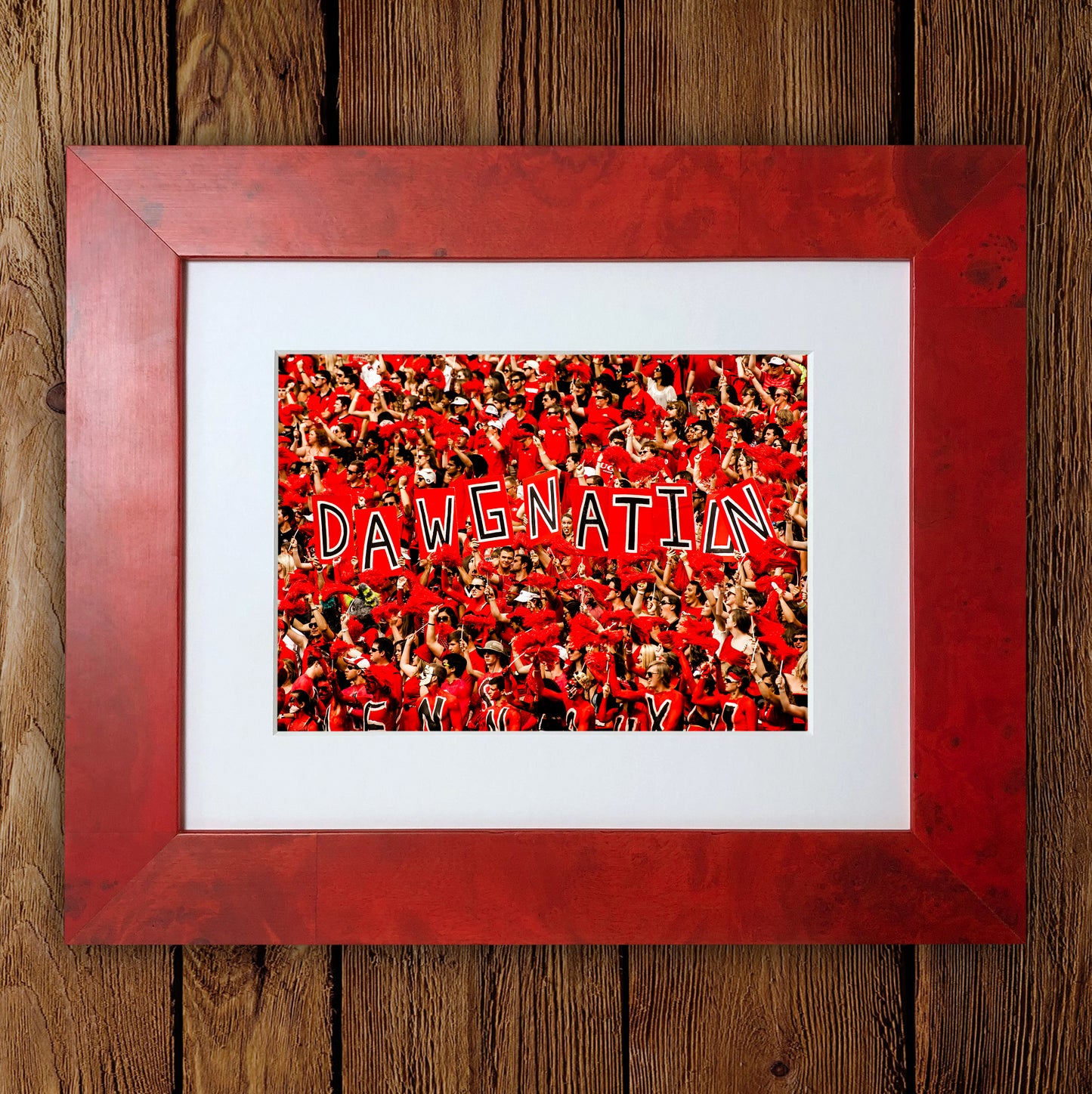 UGA Dawgnation Football Photo Print & Canvas Wrap - Georgia Bulldogs Art