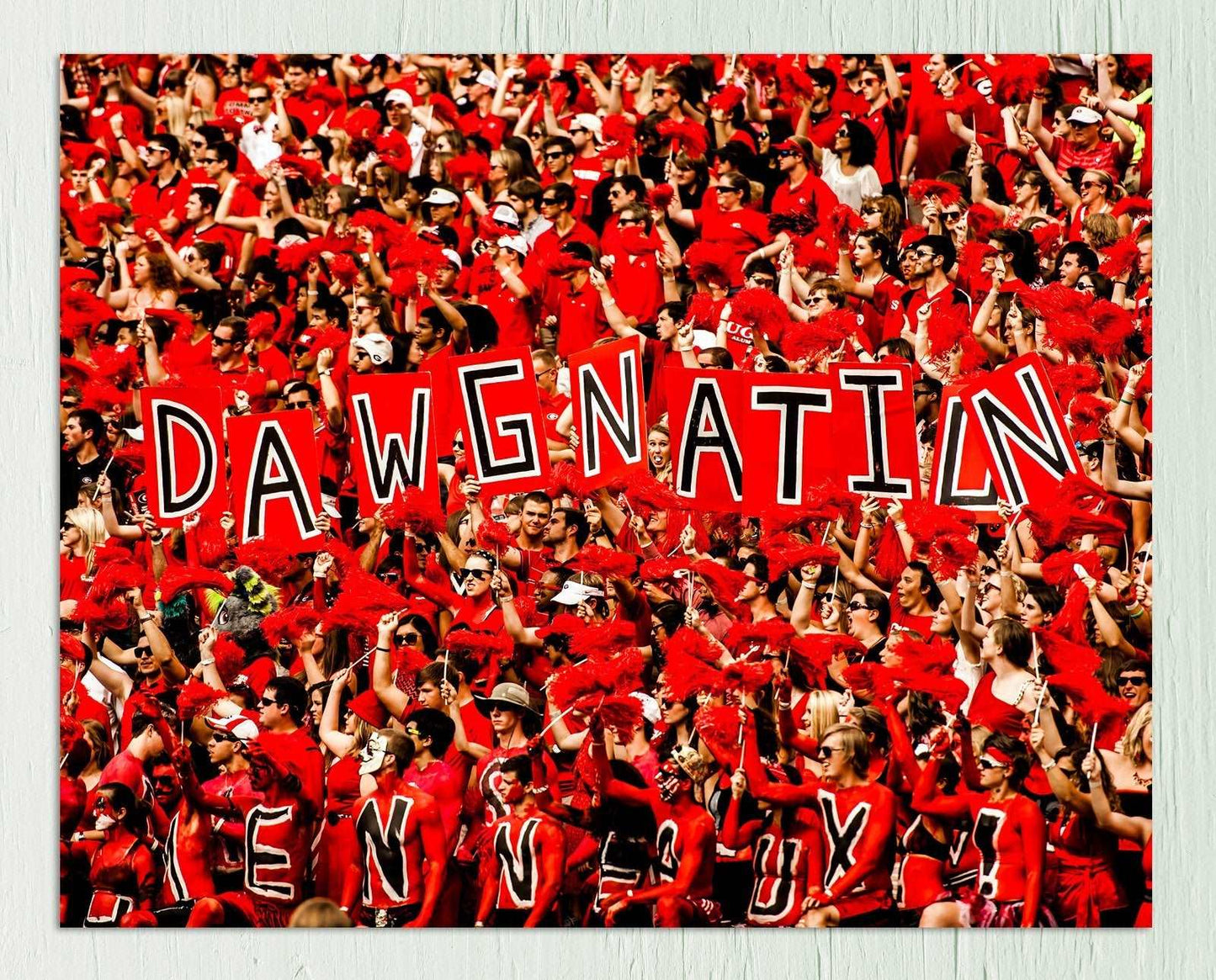 UGA Dawgnation Football Photo Print & Canvas Wrap - Georgia Bulldogs Art
