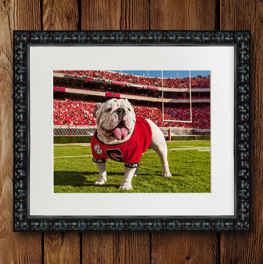 Uga X In the Endzone Mascot Photo Print & Canvas Wrap - Georgia Bulldogs Art