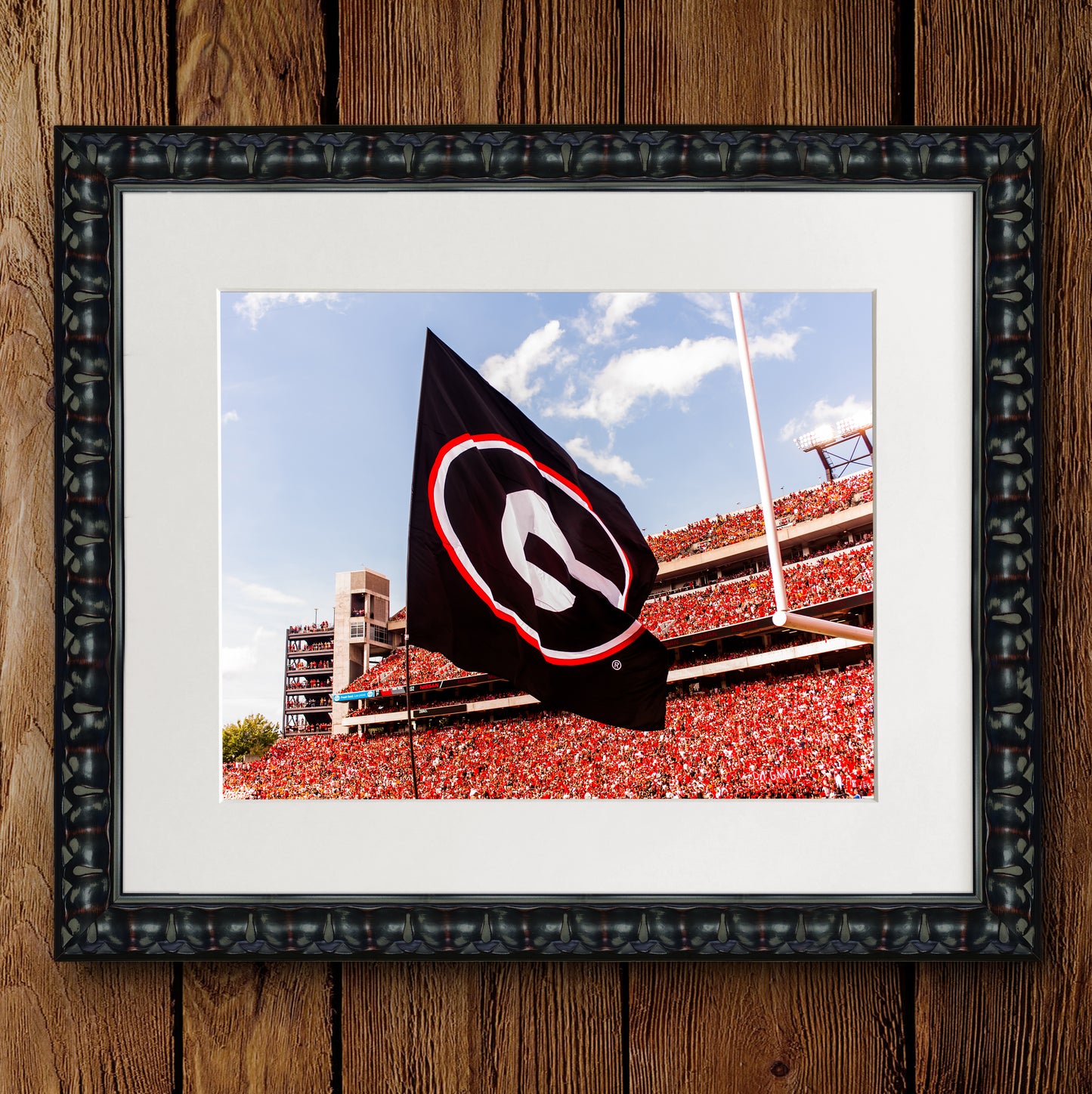 Power G Flag in Sanford Stadium Photo Print & Canvas Wrap - Georgia Bulldogs Art