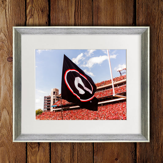 Power G Flag in Sanford Stadium Photo Print & Canvas Wrap - Georgia Bulldogs Art