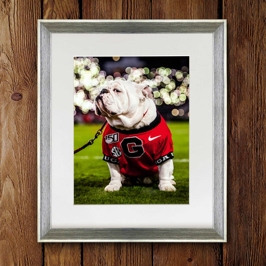 Uga X Under the Lights Mascot Photo Print & Canvas Wrap - Georgia Bulldogs Art