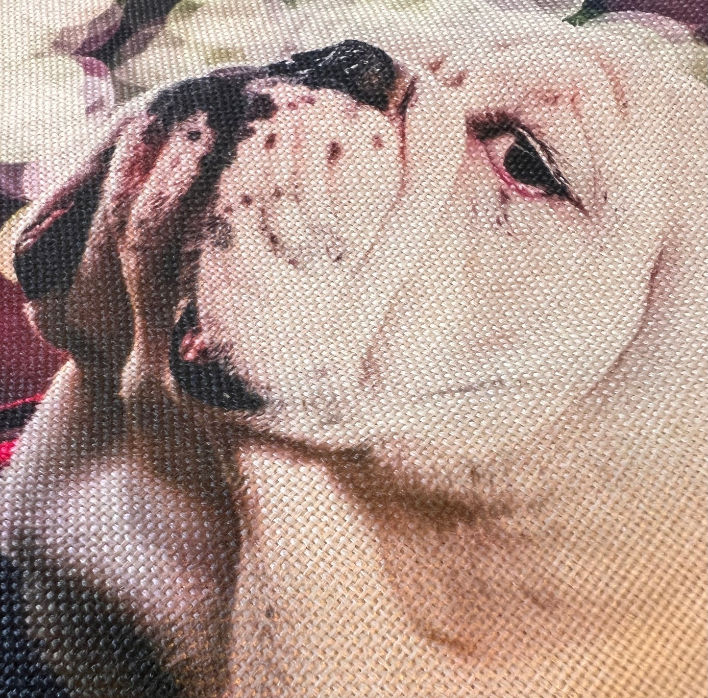 Uga X Under the Lights Mascot 18x18" Throw Pillow - Indoor/Outdoor - Georgia Bulldogs Tailgate, Dawg Cave, Home Decor