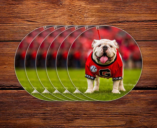 UGA Georgia Bulldogs Sticker 6-Pack - Uga X Mascot - 2.75"Circle Vinyl Photo Decal Gift Wrap - WRIGHT PHOTO