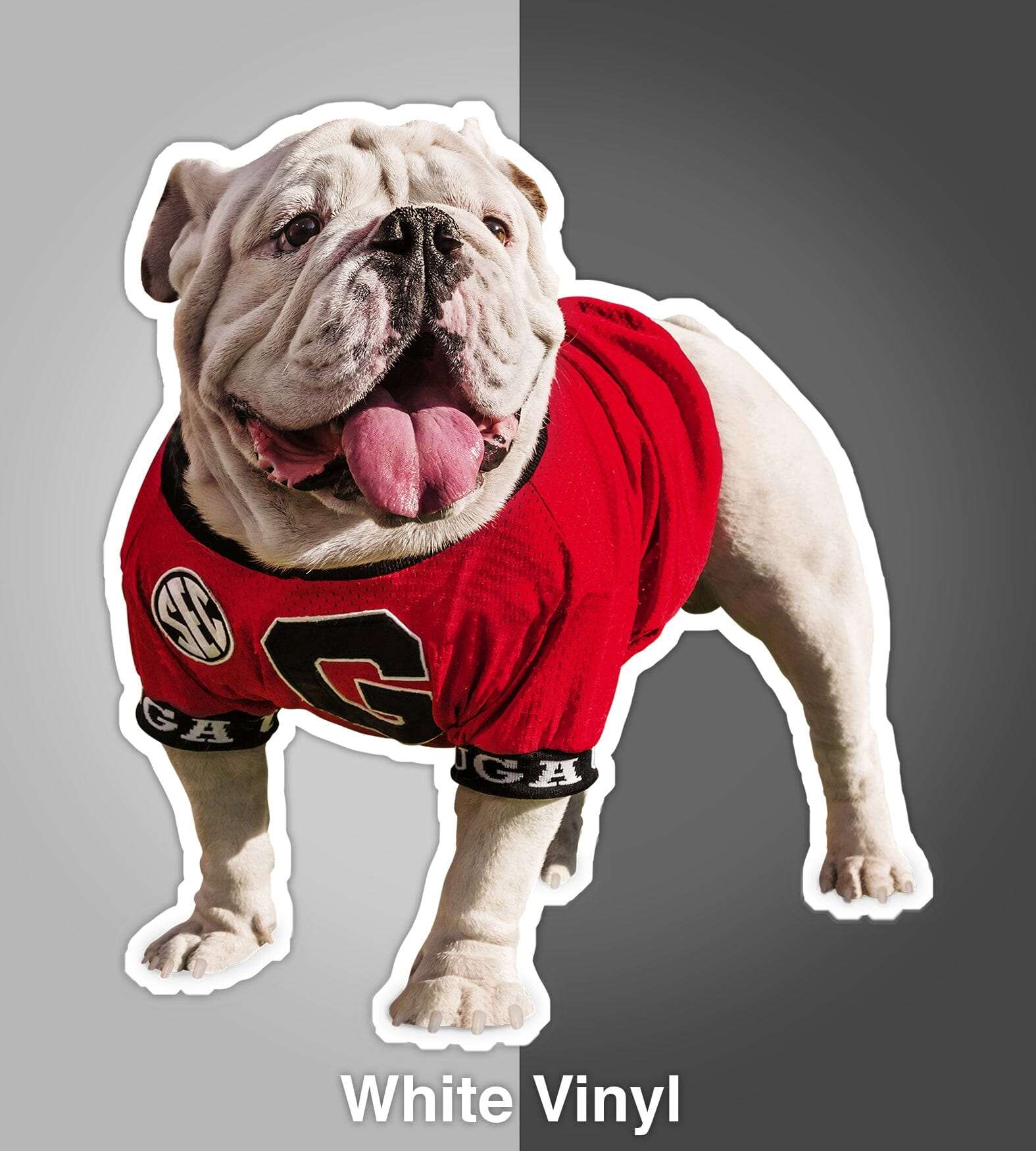 UGA Georgia Bulldogs Sticker - Uga X Mascot in the Endzone Premium UV Vinyl Die-Cut Decal - WRIGHT PHOTO