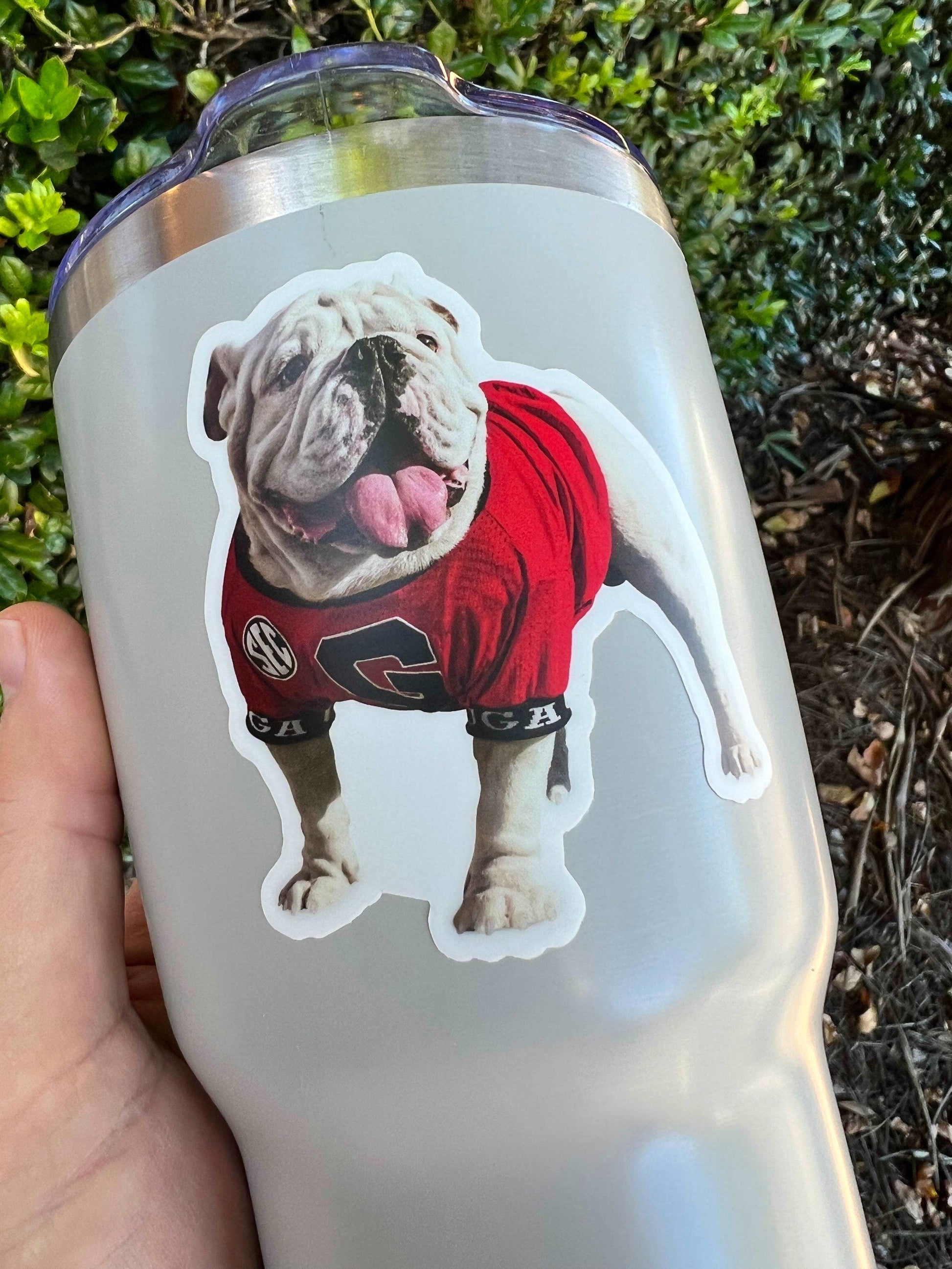 UGA Georgia Bulldogs Sticker - Uga X Mascot in the Endzone Premium UV Vinyl Die-Cut Decal - WRIGHT PHOTO