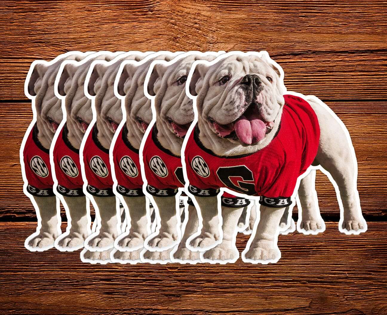 UGA Georgia Bulldogs Sticker 6-Pack - Uga X Mascot in the Endzone - 2.75" Die Cut Vinyl Photo Decal for Gift Wrap, Graduation Invitations, Stationary - WRIGHT PHOTO
