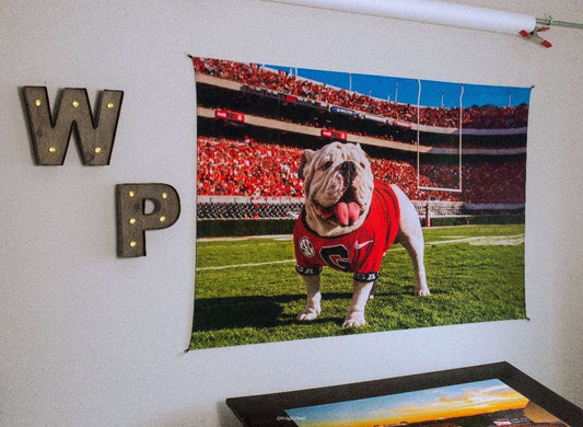 UGA Georgia Bulldogs Art: Uga X in the Endzone Mascot Tapestry Poster Wall Art Photo - 2XL & 3XL Sizes - Wright Photo