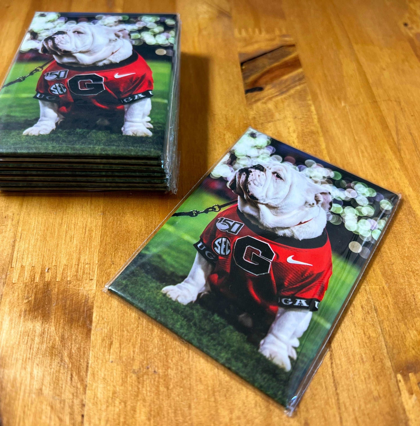 UGA Georgia Bulldogs Fridge Magnet - UGA Under the Lights 2.5"x3.5" Premium Tin Photo Gift - WRIGHT PHOTO