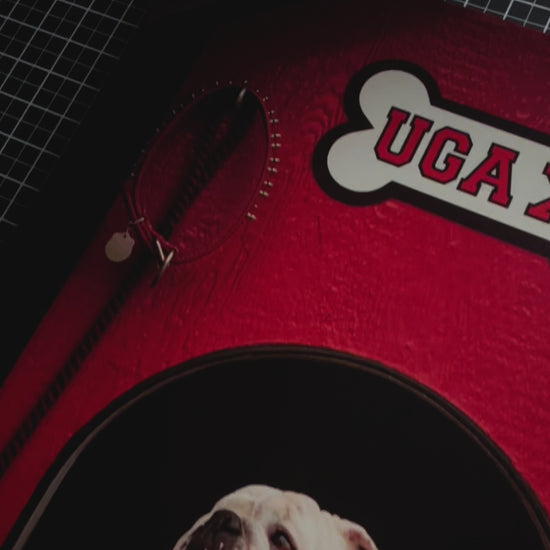 Georgia Bulldogs Canvas Wrap