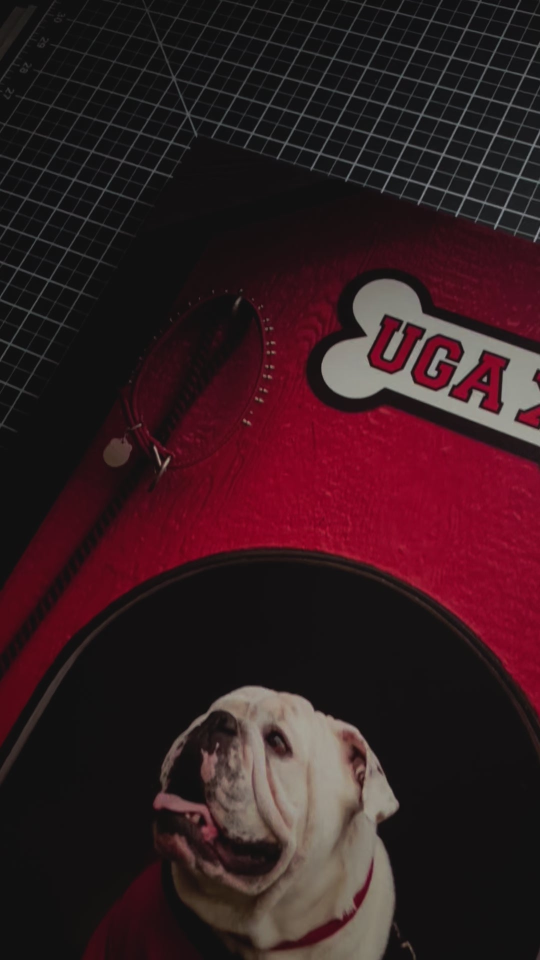 Georgia Bulldogs Canvas Wrap