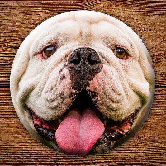 Uga X Closeup 3" Pin-Back Button - Georgia Bulldogs Tailgating & Gifts