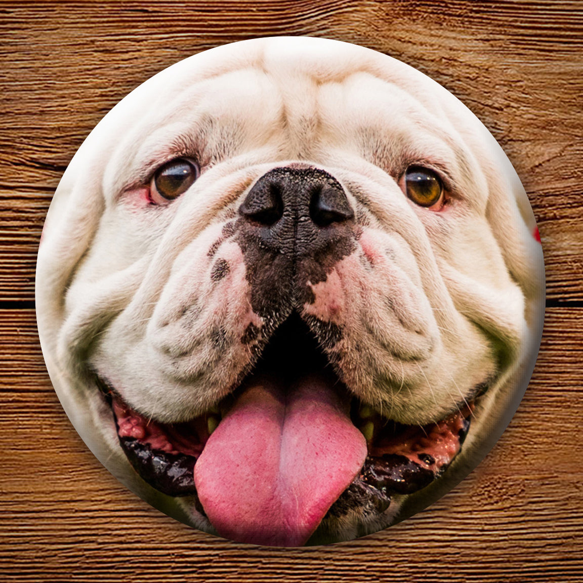 Uga X Closeup 3" Pin-Back Button - Georgia Bulldogs Tailgating & Gifts