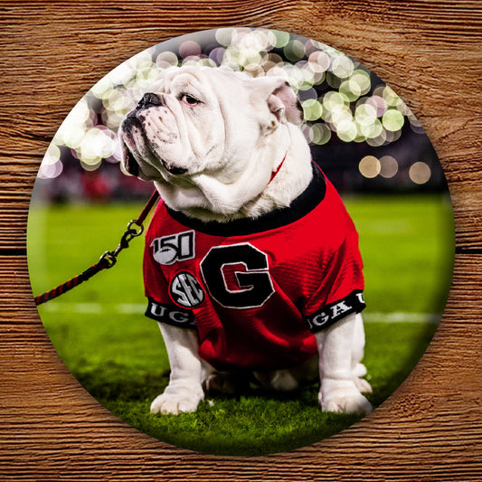 Uga X Under the LIghts 3" Pin-Back Button - Georgia Bulldogs Tailgating & Gifts