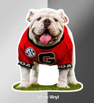 UGA Georgia Bulldogs Sticker - Uga X Mascot Premium UV Vinyl Die-Cut Decal - WRIGHT PHOTO