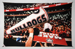 UGA Georgia Bulldogs Art: 2017 Light Up Sanford Stadium Tapestry Poster Wall Art Photo - 2XL & 3XL - Wright Photo